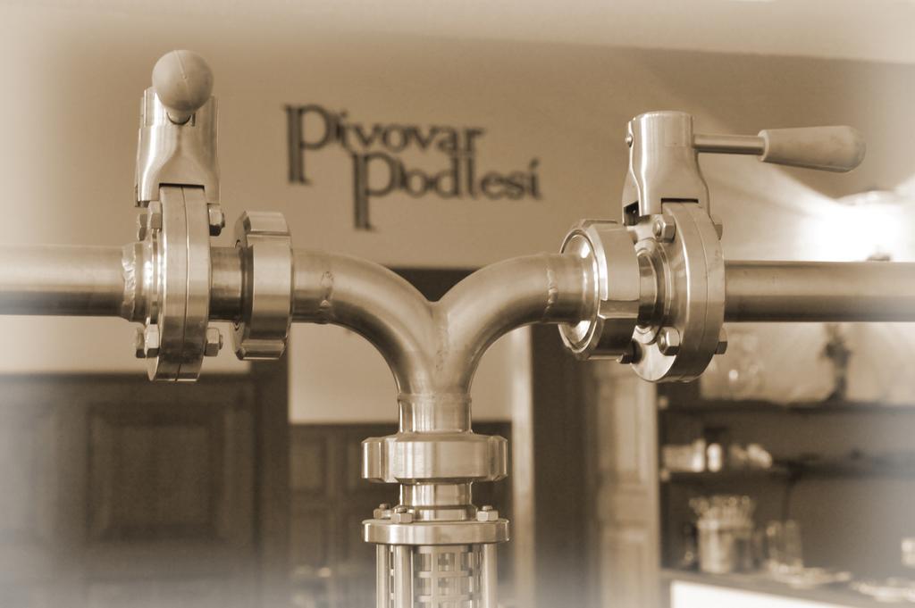 Penzion Pivovar Podlesi Pribram Bagian luar foto